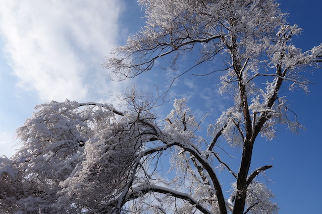 The Deaths that dare not speak their name